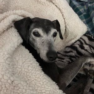 Meet your Posher, Therese